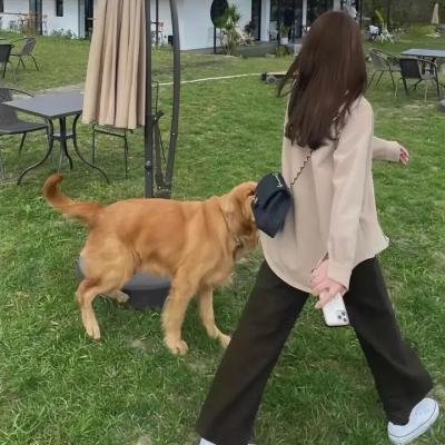 夏夜